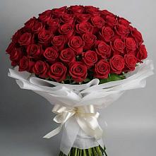 Букет 101 Красная роза Блэк Мэджик #REPLACE_PRED# Рыбное 