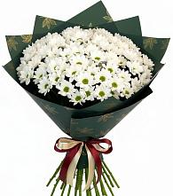 Букет цветов из:  Хризантемы #REPLACE_PRED# Рыбное 