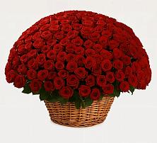 Премиум букет из: Розы в Рыбное 